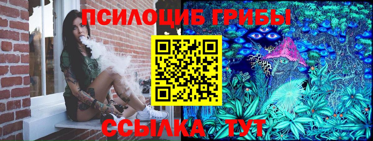 Галлюциногенные грибы мухоморы  Вход с VPN  Котовск 